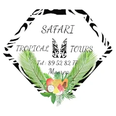 création du site web Saftropicaltours Polynesie